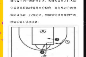 篮球夏训中的团队战术训练方案:打造高效协作的冠军队伍